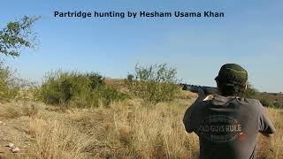 Partridge hunting in Pakistan [upl. by Yerag]