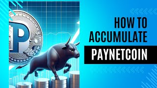 Maximize Your Profits with Paynetcoin Staking Rewards 💰🚀 Unleash the Power of Passive Income 2024 [upl. by Lolly]