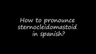 How to pronounce esternocleidomastoideo sternocleidomastoid [upl. by Ahsets]