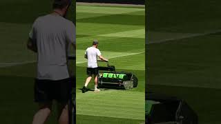 Artwork at Cardiff City allettmowers cardiffcity groundsman football [upl. by Schargel]