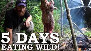 5 DAYS eating ONLY WILD FOODS  Survival Challenge  The Wilderness Living Challenge 2017 SEASON 2 [upl. by Assel453]