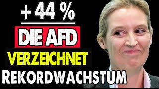 SachsenAnhalt AfD mit Rekordwert – Grüne und Linke raus [upl. by Brick]