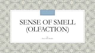 Sense of Smell Olfaction [upl. by Aleicarg65]