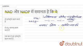 NAD और NADP में समानता है कि वे [upl. by Mercie9]