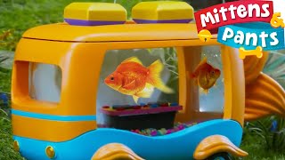 Pet Shows For Preschool  DJ Swimfins Animal Concert 🐠  Mittens amp Pants [upl. by Laden]