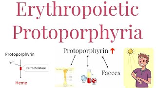 Erythropoietic Protoporphyria  Enzyme deficiency and Features [upl. by Liam]