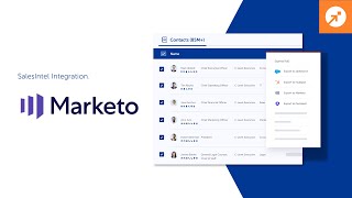 How to SetUp and Export Contacts Into Marketo [upl. by Akirderf]