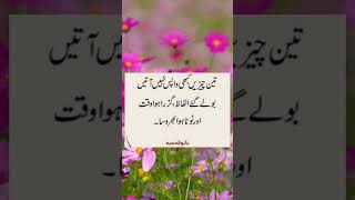 poetry urdupoetry quotes molanarumiquotesshortsfeed sadpoetryshayari shorts [upl. by Ainyt672]