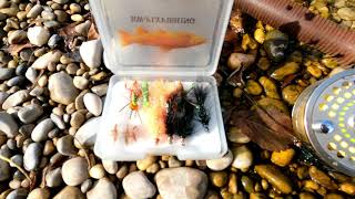 Fliegenfischen mit der Sinktipschnur Sink Tip Line Flyfishing [upl. by Azriel600]