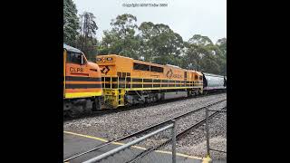 VINTAGE ALF LEADS GRAIN TRAIN graintrain freighttrain australiantrains railwaystation trains [upl. by Ecyak]