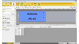 Brother Ptouch label printers  How to print from a database [upl. by Anitsyrc]