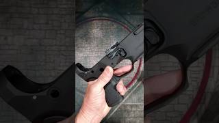 Part 2 Leapers UTG Pro Ambi Lower  The Ambidextral Gunfighter AR15 [upl. by Nnyluqcaj]