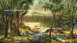 A Video Presentation on The Carboniferous Rainforest Collapse [upl. by Erine180]