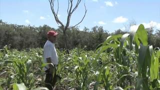 Razón Para Creer Un Documental sobre los Aluxes [upl. by Enovaj]