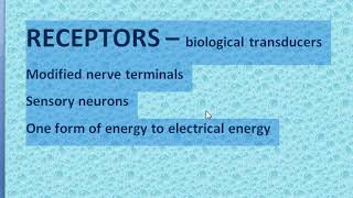 1362 Receptors Location of Stimulus ExteroCeptors by MBBS VIHA [upl. by Otho765]