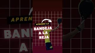 APRENDE LA BANDEJA A LA REJA padel pádel padeltime padelamateur bandeja training shorts CA [upl. by Nauqaj935]