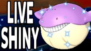 SHINY WAILMER AFTER ONLY 89 CHAIN FISHING ENCOUNTERS  Live Shiny Reaction [upl. by Einra235]