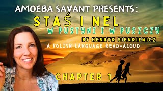 Ch 1 Stas i Nel  Polish Language Audiobook [upl. by Ameerahs]