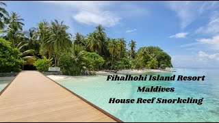 Fihalhohi Maldives Snorkeling Insights From The House Reef [upl. by Ahseinat]