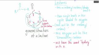 Lactones Naming [upl. by Namlak]