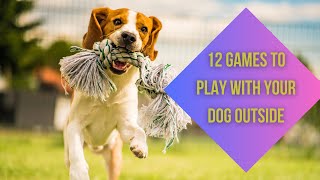 Best 12 Games to Play with Your Dog Outside [upl. by Faina]