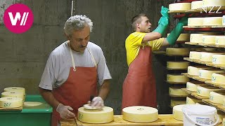 Cheesemaking  visiting a Swiss dairyman [upl. by Thessa]