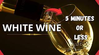 All you need to know about White Wine in 10 minutes or less [upl. by Llerrej]