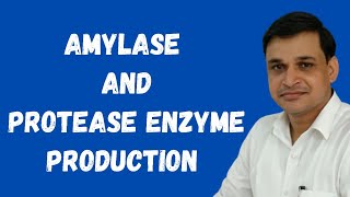 How to produce amylase and protease enzymes using microorganisms [upl. by Denten]