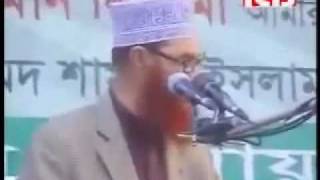 Heavy Weight Speech By Allama Deloar Hossain Saidi [upl. by Cassiani981]