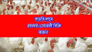 ৭ এপ্রিল🐓 আজকে সকল মুরগি বাড়তি দামে বিক্রি করুন ❤️ব্রয়লার লেয়ার সোনালী ফাউমি মুরগির বাচ্চার দাম জানো [upl. by Foah]