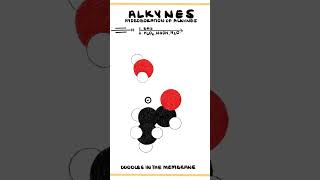 Hydroboration BH3 of Alkynes into Carbonyls  Organic Chemistry Reaction Animation [upl. by Yadnus]