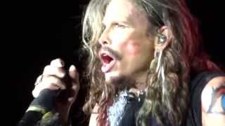 Aerosmith quotCryinquot FULL HD ♫ Live Milano Rho 2014 [upl. by Yreffej285]