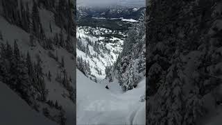 SkierTriggered Avalanche in Super Couloir [upl. by Brittany976]