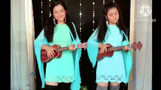 Tumse Milke Dilka Jo।। main hoon na।। best cover song [upl. by Yrallih42]