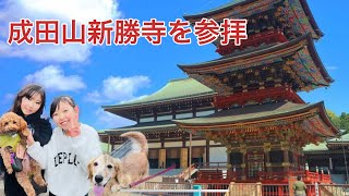 成田山新勝寺に初参拝しに行きまーす！ [upl. by Adnerak]