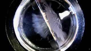 Cloud chamber Alpha particles II [upl. by Edla]