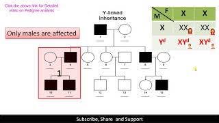 Y linked Inheritance pedigree with example  BiologyExams4u 1 Minute Classroom [upl. by Niassuh414]