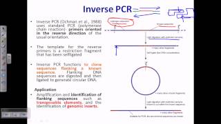 Inverse PCR [upl. by Yukio48]