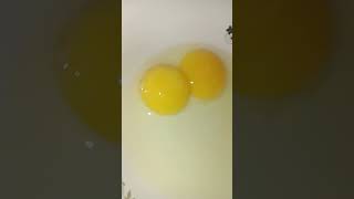 Two yolks in one egg [upl. by Eisor319]