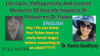 Fasciola hepatica Fasciola hepatica life cycle Flat worm Liver Fluke Fluke Liver rot [upl. by Iamhaj]