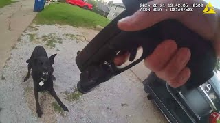 Police Bodycam Footage Shows Cop Shooting Family Dog [upl. by Cynthie750]