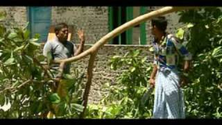 Dhivehi Movie Film Bunyey Bunyey 6 [upl. by Eade]