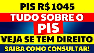 1045 PIS VEJA QUEM TEM DIREITO COMO CONSULTAR TUDO SOBRE O PIS CALENDÁRIO PIS PASEP 2020 2021 [upl. by Tierney]