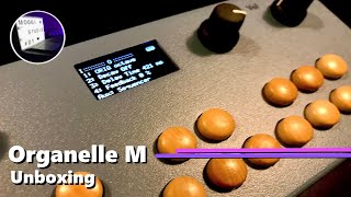 Critter amp Guitari Organelle M  Unboxing Deutsch [upl. by Rednasxela]