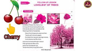 LOVELIEST OF TREES  Follow Up Lesson  Class  VII ENGLISH  ENGLISH READER  Odiamedium [upl. by Ahtamat]