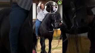 😂 IMÁGENES DIVERTIDAS DE LALO ENSEÑANDO A LUCERITO A MONTAR CABALLOS [upl. by Virendra130]