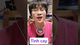 LỆ ĐẮNG TÌNH CAY  Karaoke Dễ Hát [upl. by Libbie704]