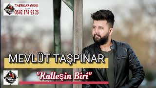 KALLEĹžÄ°N BÄ°RÄ°  MEVLĂśT TAĹžPINAR Nostaljik [upl. by Nachison]