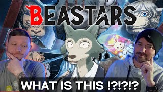 BEASTARS OPS FIRST TIME REACTION [upl. by Llenrad708]