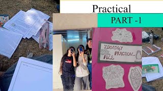 ALL ABOUT ZOOLOGY PRACTICALtrending viralvideo college experiment [upl. by Pump]